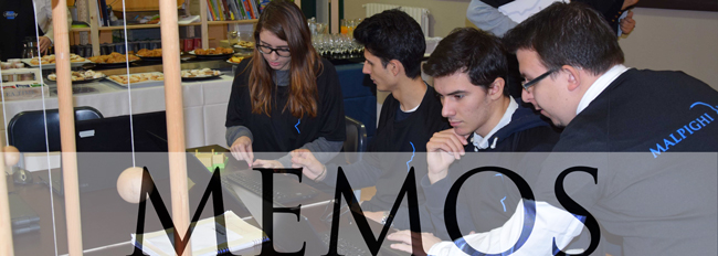 MEMOS